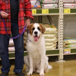 photograph by PeterW